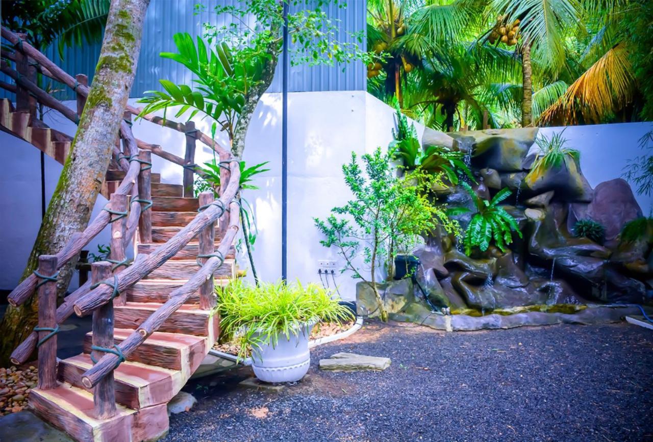 Hostel Tamarind Moon Dikwella Exteriér fotografie