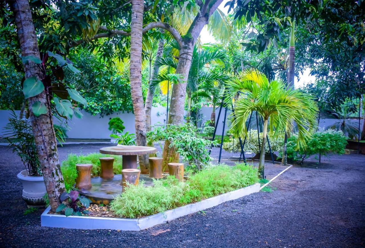 Hostel Tamarind Moon Dikwella Exteriér fotografie