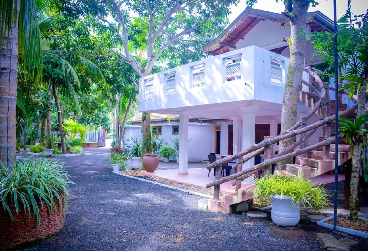 Hostel Tamarind Moon Dikwella Exteriér fotografie